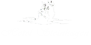 HotelSteinhagen