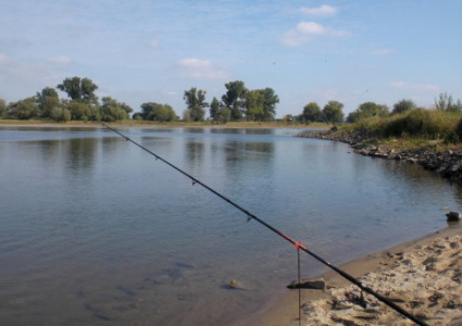 Angelspaß an der Elbe