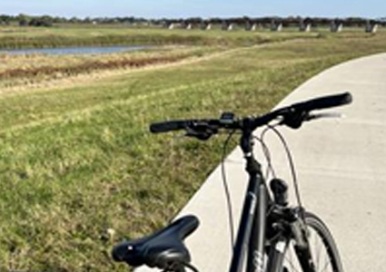 Radfahren oder Wandern an der Elbe